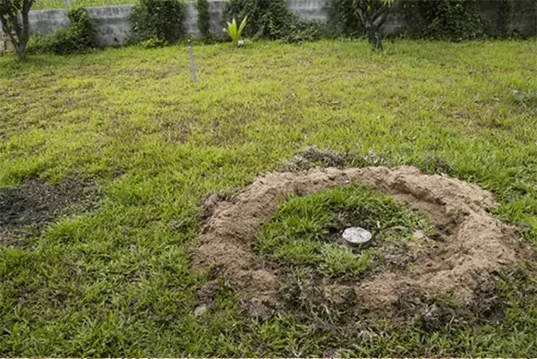 Pose de fosse septique et micro station près de Périers